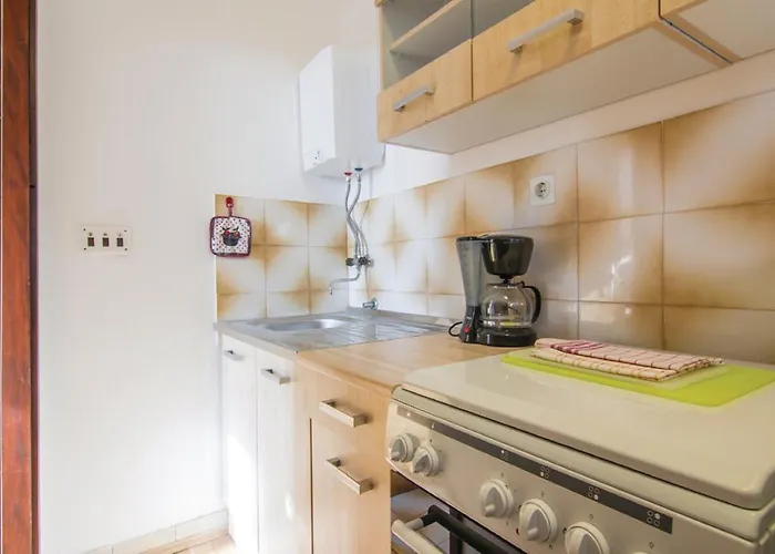 Family Friendly House With A Swimming Pool Basarinka, - 14663