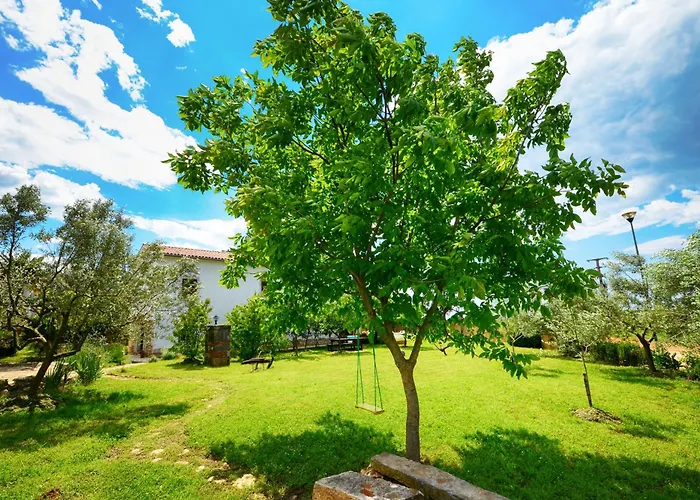 Family Friendly House With A Swimming Pool Basarinka, - 14663 * Пореч
